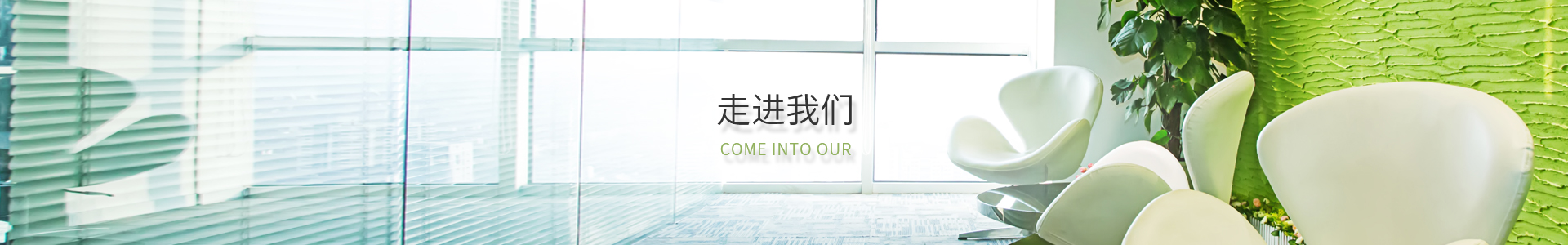 大红鹰dhy(中国)有限公司官网