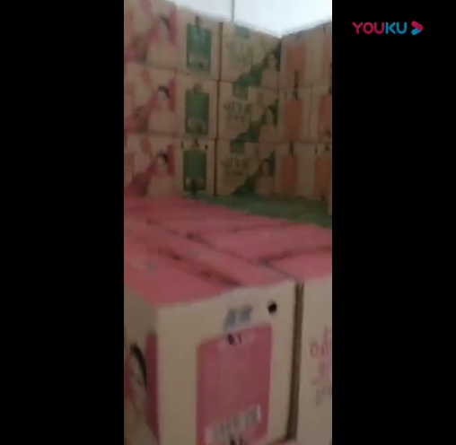 山东鹤壁客户大红鹰dhy益生菌发酵果汁到货现场视频