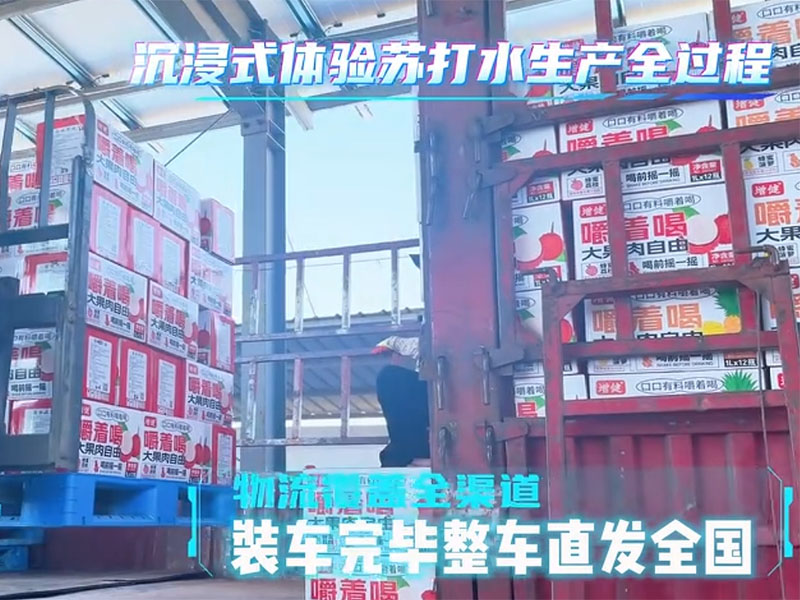 带您参观大红鹰dhy苏汲水出产全过程，全国直供