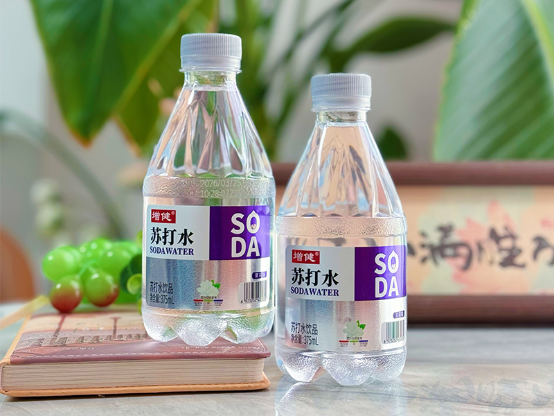 SODA苏汲水