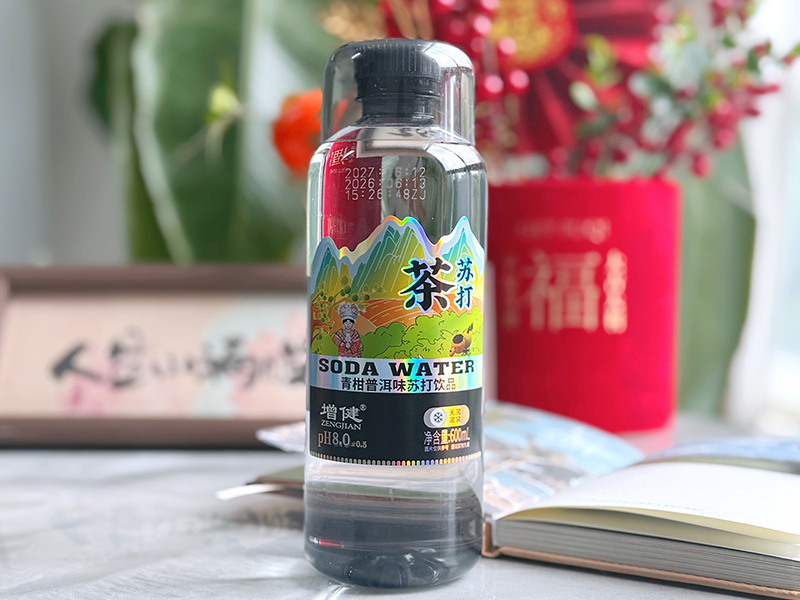 青柑普洱苏汲水
